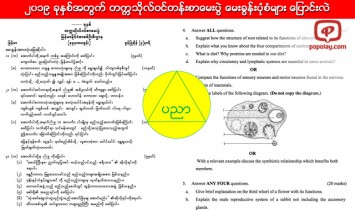 ၂၀၁၉ ခုႏွစ္အတြက္ တကၠသိုလ္ဝင္တန္းစာေမးပြဲ ေမးခြန္းပုံစံမ်ား ေျပာင္းလဲ