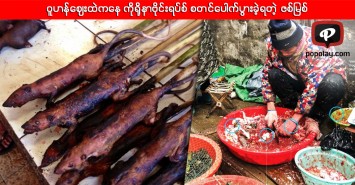 ဝူဟန်ဈေးထဲကနေ ကိုရိုနာဗိုင်းရပ်စ် စတင်ပေါက်ပွားခဲ့ရတဲ့ ဇစ်မြစ်